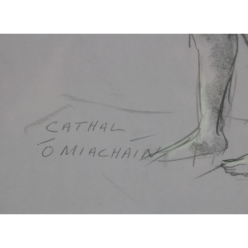 29 - Cathal O'Miacháin, Irish XX Century