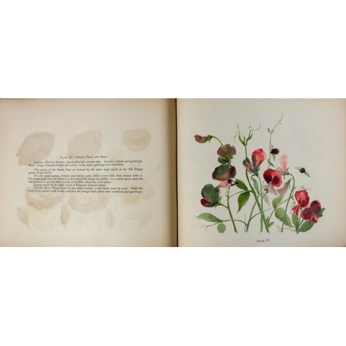 406 - Early Coloured Plates by Elizabeth Corbet YeatsYeats (Elizabeth Corbet)  Brush-Work Studies of Flowe... 