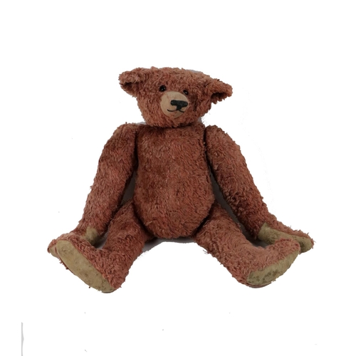 829 - A rare early 20th Century (c. 1905) Steiff golden plush Teddy Bear, with small black boot button eye... 