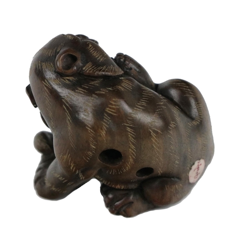 241 - A fine quality early 20th Century Japanese carved Netsuke, of a recumbent tiger, with head turned wi... 