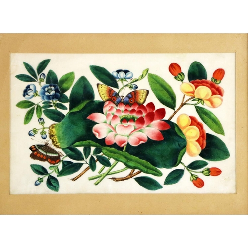 249 - 19th Century Chinese SchoolA collection of four varied size Chinese rice paper Paintings, of floral ... 