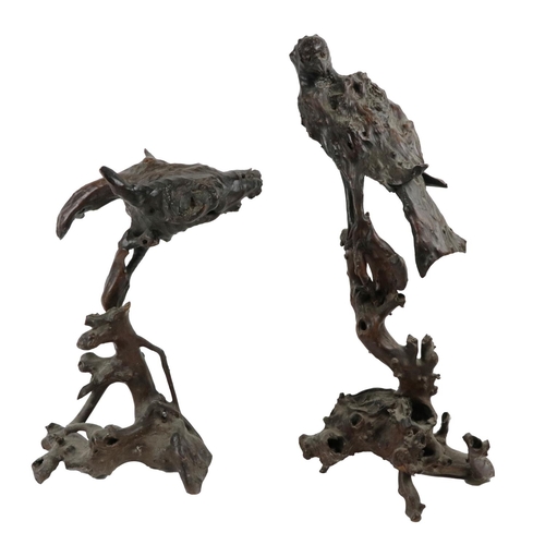 551 - Two unusual carved footwood Figures of Birds of prey resting on branches, of naturalistic form. (2)... 