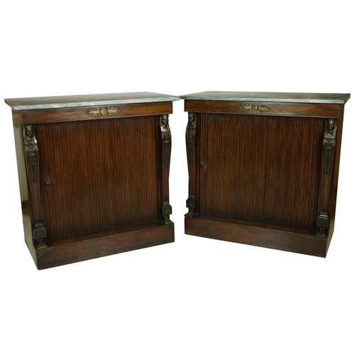 843 - A very fine pair of Regency mahogany Side Cabinets, applied with gilt metal mounts, each with an ass... 