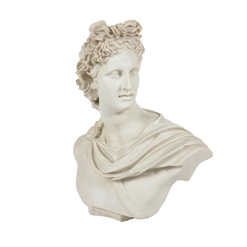 882 - An assimilated marble Bust, of Apollo, approx. 43cms (17