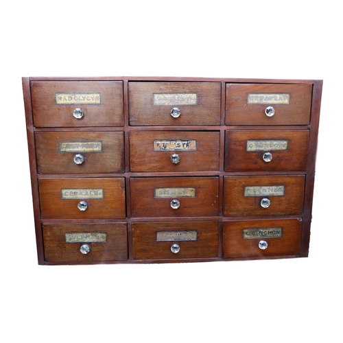 1019 - A Victorian twelve drawer Apothecary Cabinet, with mirrored labels and glass handles, width  41 1/2