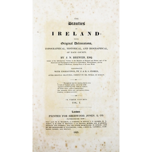 54 - Engraved Plates: Brewer (J.N.) The Beauties of Ireland, Vols. I & II, 2 vols., roy 8vo Lond... 