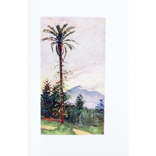 77 - Signed by ArtistFitzgerald (Augustine) artist, & Fitzgerald (Sybil) Naples, lg. 4to Lond. (A. &a... 