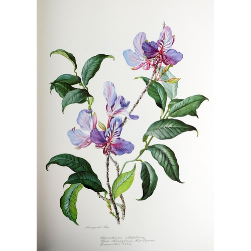 435 - Mee (Margaret) Flowers of the Brazilian Forests, lg. atlas folio Lond. (Tryon Gallery) 1968.&nb... 