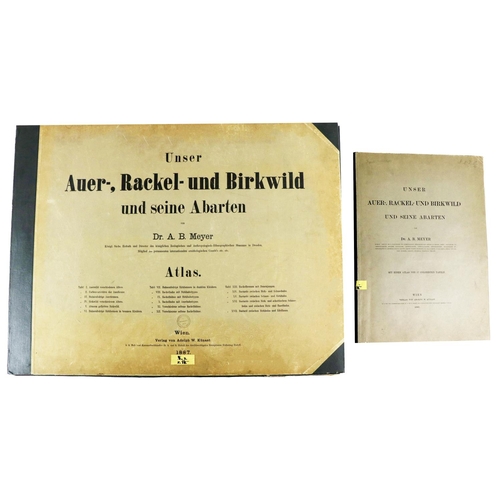 436 - Limited to 100 Copies OnlyMeyer (Dr. A.B.) Unser Auer -, Rackel-Und Birkwild und Seine Abarten,... 