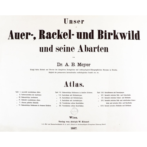 436 - Limited to 100 Copies OnlyMeyer (Dr. A.B.) Unser Auer -, Rackel-Und Birkwild und Seine Abarten,... 