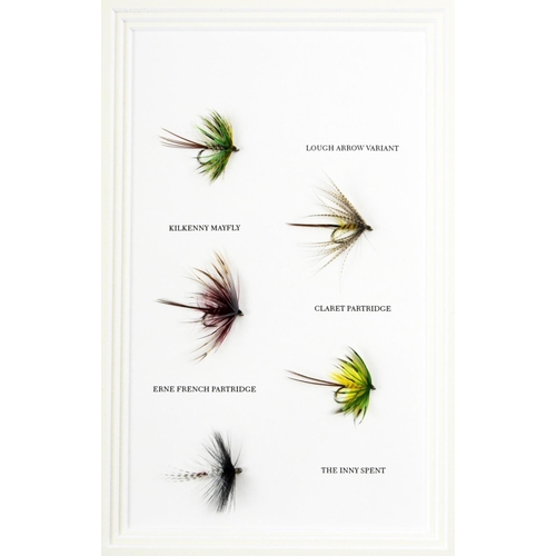 808 - Rare Signed Limited de Luxe EditionFishing: Deery (Patsy) Irish Mayflies - A Fly-fisher's Guide, 2 v... 