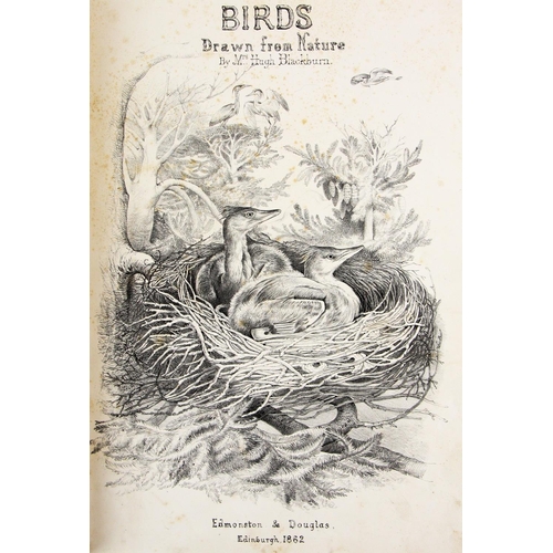 825 - Blackburn (Mrs. Hugh) Birds Drawn from Nature, folio, Glasgow (James Maclehose) 1868, 2 parts, illus... 