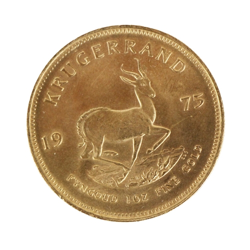 1155 - Gold Coin:  1975 1 ounce fine gold Krugerrand, approx. 22 carat gold (34 gms). Good example. (1... 