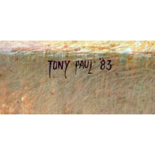 28 - Tony Paul XX - XXI