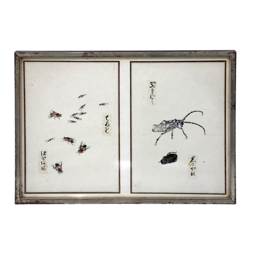 248 - A rare collection of 12 Chinese Entomology Insect Studies, depicting moths, beetles, butterflies etc... 