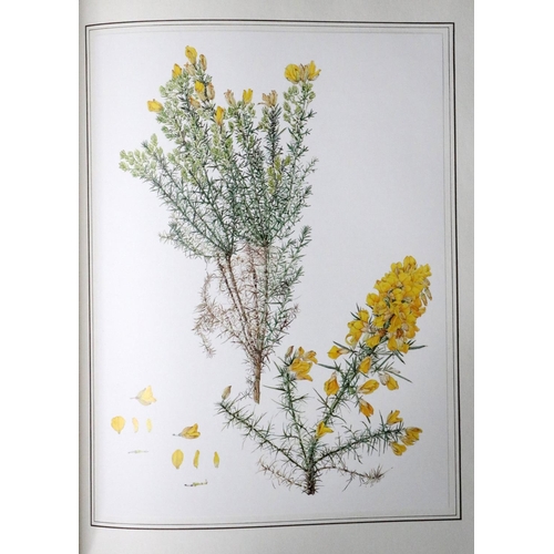 562 - Walsh (Wendy) & Nelson (Chas.) An Irish Florilegium, Wild and Garden Plants of Ireland, 2 v... 