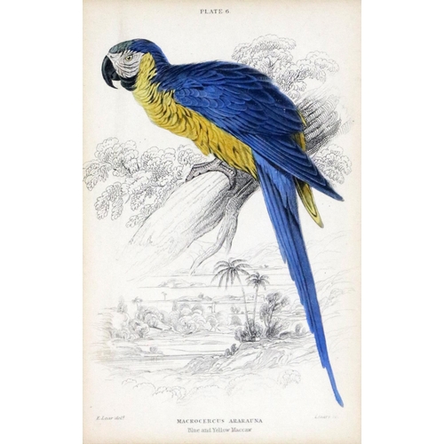 600 - An attractive set of 4 hand coloured Bird Prints, after E. Lear, in attractive mounts and frames, 15... 