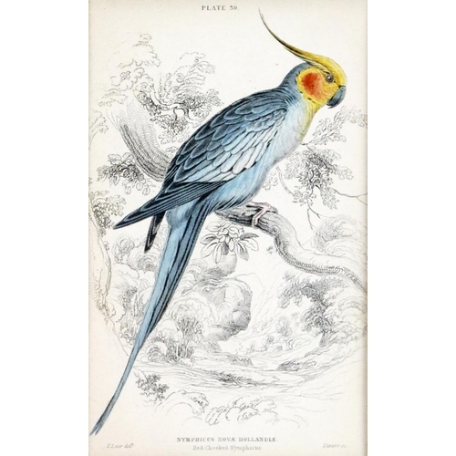 600 - An attractive set of 4 hand coloured Bird Prints, after E. Lear, in attractive mounts and frames, 15... 