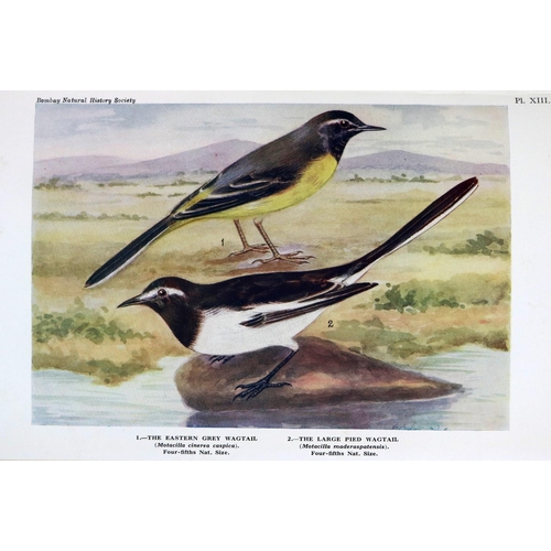 67 - Baker (Lt. Col. H.R.) & Inglis (Chas. M.) The Birds of Southern India, include Madras, Malabar, ... 