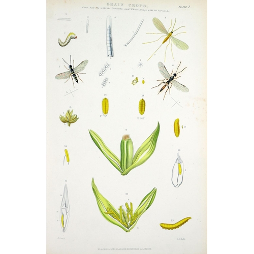 69 - Fine Coloured PlatesCurtis (John) Farm Insects; being the .. Insects Injurious to the Field Crops of... 