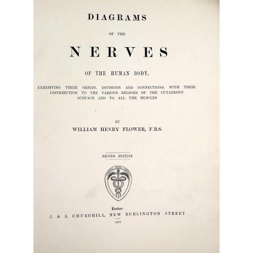 78 - Flower (Wm. H.) Diagrams of the Nerves of the Human Body, lg. 4to Lond. 1872. Second Edn., 6 lg. dbl... 