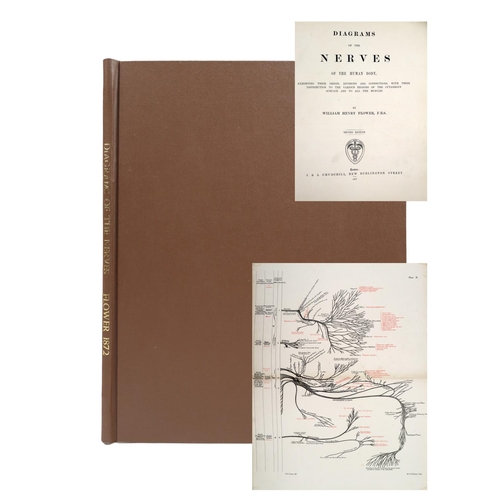78 - Flower (Wm. H.) Diagrams of the Nerves of the Human Body, lg. 4to Lond. 1872. Second Edn., 6 lg. dbl... 
