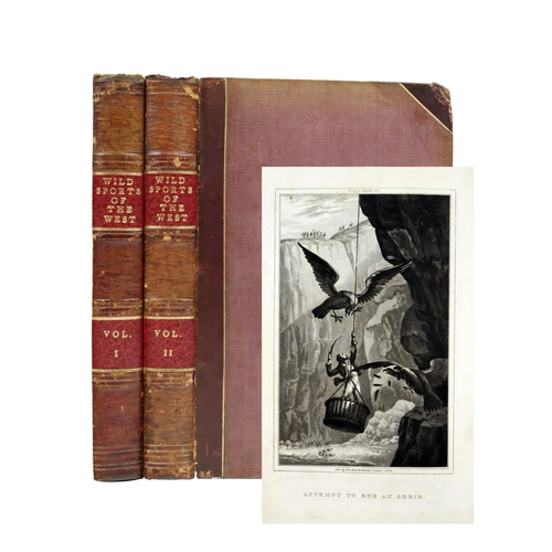 Lot 139       
