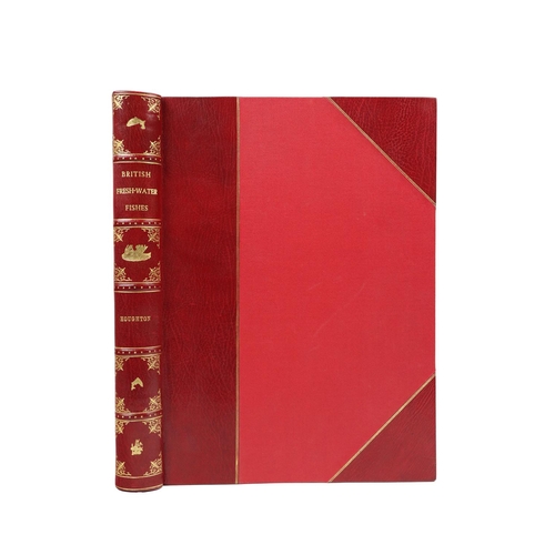 195 - Most Desirable Copy with large Coloured PlatesHoughton (Rev. W.) British Fresh-Water Fishes, 2 lg. f... 