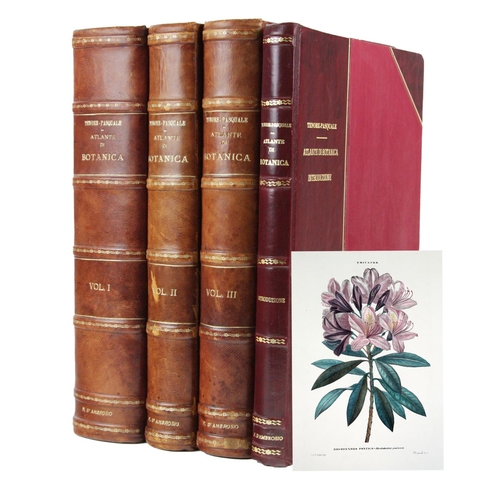 196 - With Fine Hand-Coloured PlatesTenore (V.) & Pasquale (G.A.) Atlante di Botanica Popolare, ossia ... 