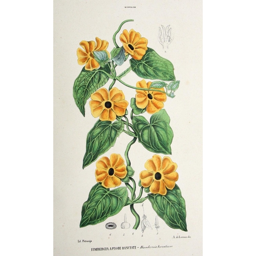 196 - With Fine Hand-Coloured PlatesTenore (V.) & Pasquale (G.A.) Atlante di Botanica Popolare, ossia ... 