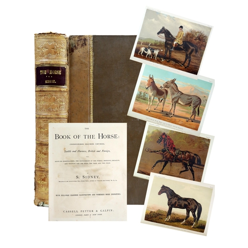 Lot 267       