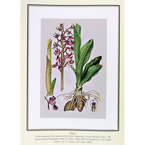 386 - One of 100 Signed CopiesNelson (E.C.)ed, Sayers (Brendan) Orchids of Glasnevin, folio, D.(Strawberry... 