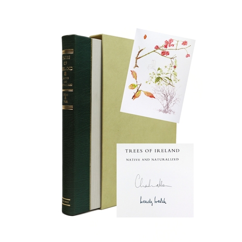 393 - Illustrated Volume: Nelson /(E.C.) & Walsh (W.F.) illus. Trees of Ireland Native and Naturalized... 