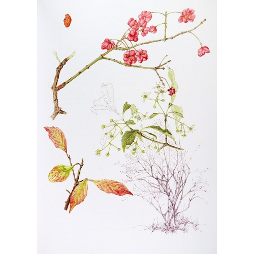 393 - Illustrated Volume: Nelson /(E.C.) & Walsh (W.F.) illus. Trees of Ireland Native and Naturalized... 