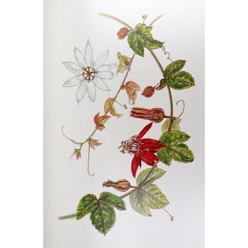 408 - Oxlade (D.)artist, Maxwell (R.), & Scott (R.) contrib.&nbsp;A Tropical Glen, A Florilegium of Be... 