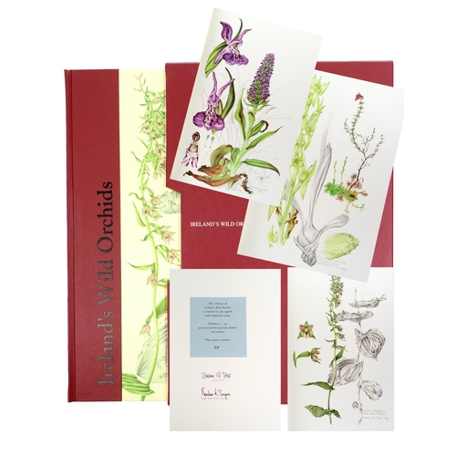 410 - Illustrated Volume: Sex (Susan) & Sayers (Brendan) Ireland's Wild Orchids, folio, Belfast (Nicho... 