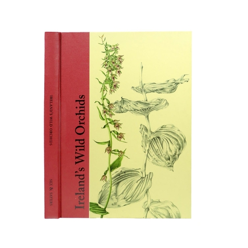 410 - Illustrated Volume: Sex (Susan) & Sayers (Brendan) Ireland's Wild Orchids, folio, Belfast (Nicho... 