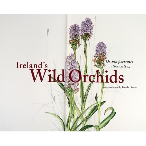 410 - Illustrated Volume: Sex (Susan) & Sayers (Brendan) Ireland's Wild Orchids, folio, Belfast (Nicho... 