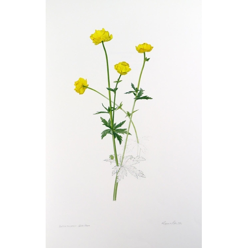 418 - Illustrated Volume:&nbsp; Piper (Raymond)&nbsp;Piper's Flowers,&nbsp; folio, Belfast (Blackstaff Pre... 