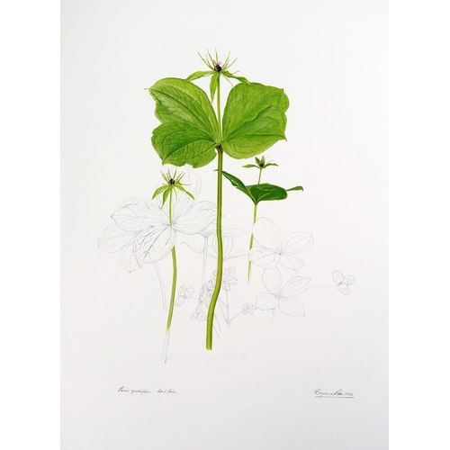 418 - Illustrated Volume:&nbsp; Piper (Raymond)&nbsp;Piper's Flowers,&nbsp; folio, Belfast (Blackstaff Pre... 