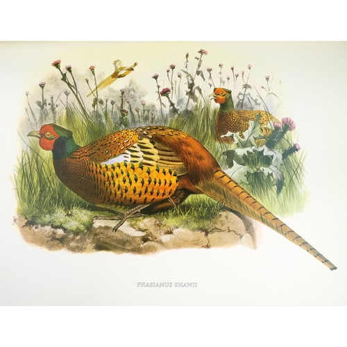 419 - Coloured Plates:  Elliot (D.G.) The Birds of Daniel Giraud Elliot,  folio L. (Ariel Press) 1979, Sig... 