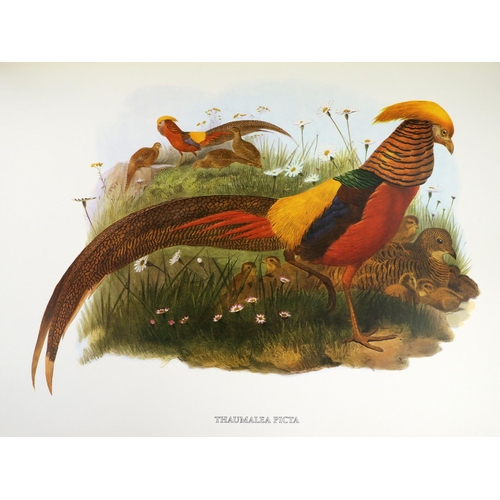 419 - Coloured Plates:  Elliot (D.G.) The Birds of Daniel Giraud Elliot,  folio L. (Ariel Press) 1979, Sig... 