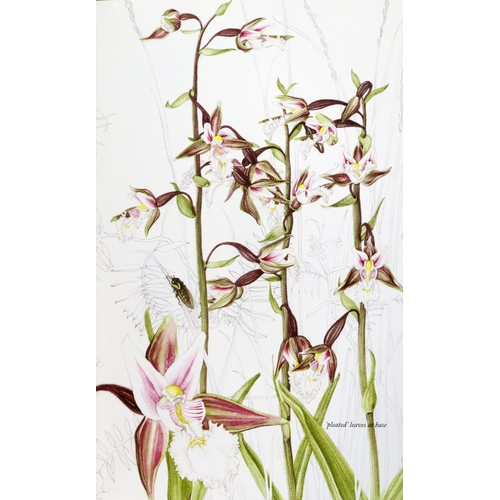420 - One of 50 Patrons CopiesSawyer (B.) & Sex (Susan)  Ireland's Wild Orchids a Field Guide, 8vo Bel... 