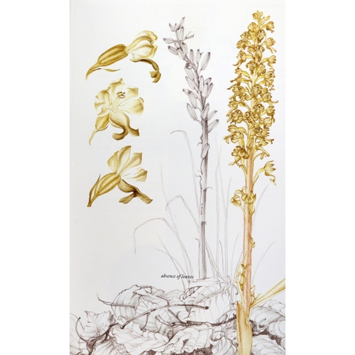 420 - One of 50 Patrons CopiesSawyer (B.) & Sex (Susan)  Ireland's Wild Orchids a Field Guide, 8vo Bel... 