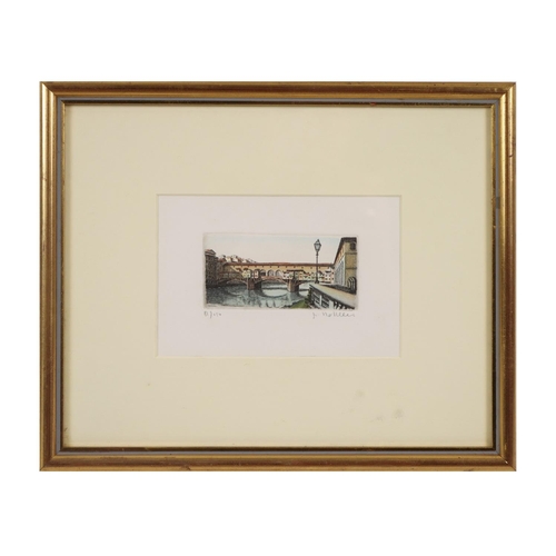 32 - A large collection of varied modern framed Prints and Engravings, mostly coloured, various sizes; to... 