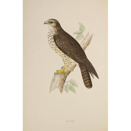 75 - Hand-Coloured Plates:&nbsp; Morris (Rev. F.O.)&nbsp;A History of British Birds,&nbsp; 6 vols. sm. fo... 