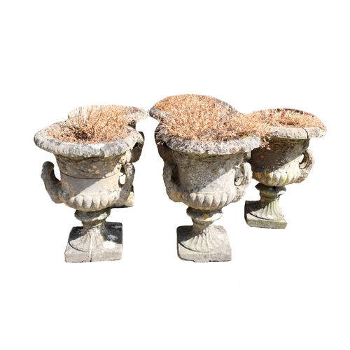 Lot 26        