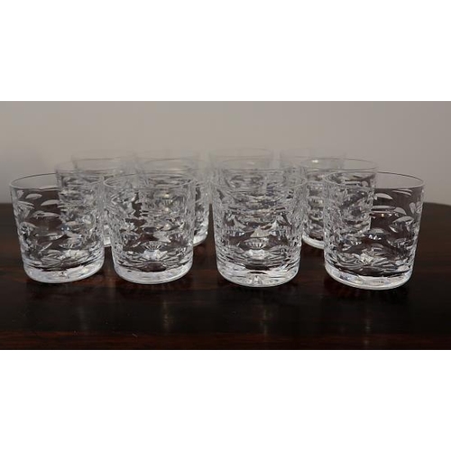 36 - A set of twelve Waterford crystal Tralee pattern whiskey glasses, 9 cms high.