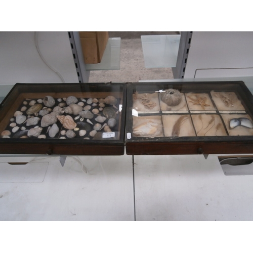 171 - 2 display cases containing shells