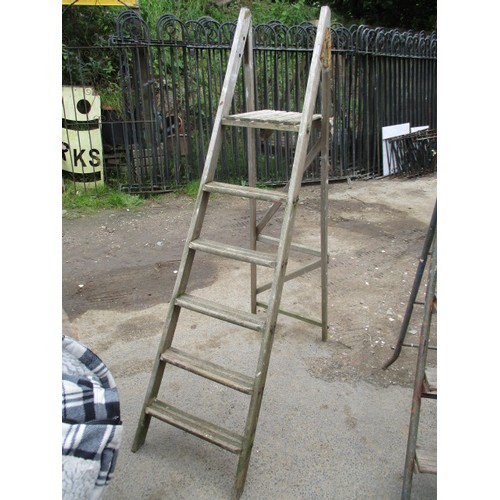 46 - Step ladder